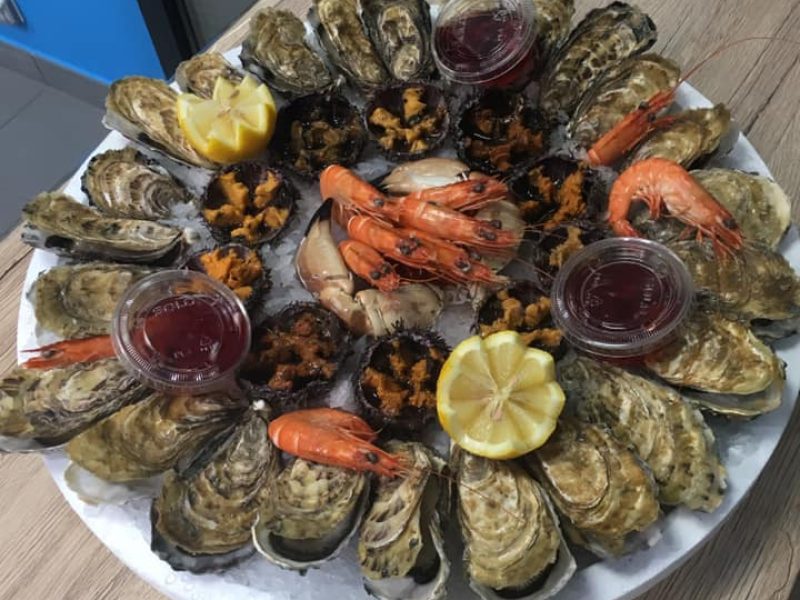 Coquillages 1