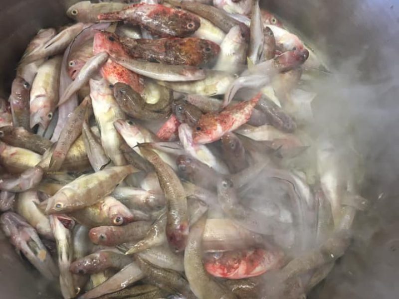 photo 4 - soupe-La Poissonnerie du Golfe