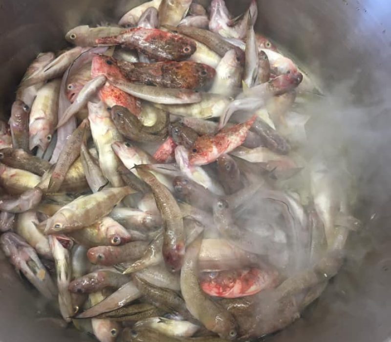 photo 4 - soupe-La Poissonnerie du Golfe